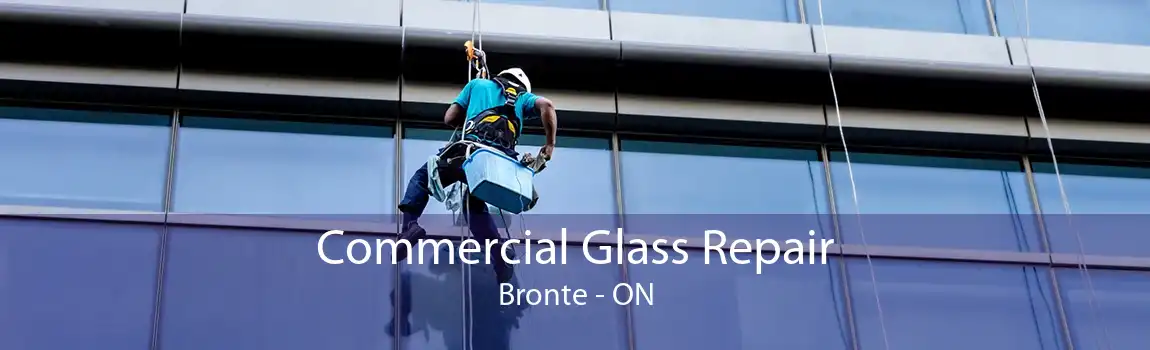 Commercial Glass Repair Bronte - ON
