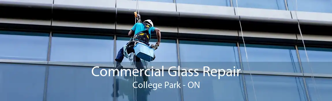 Commercial Glass Repair College Park - ON