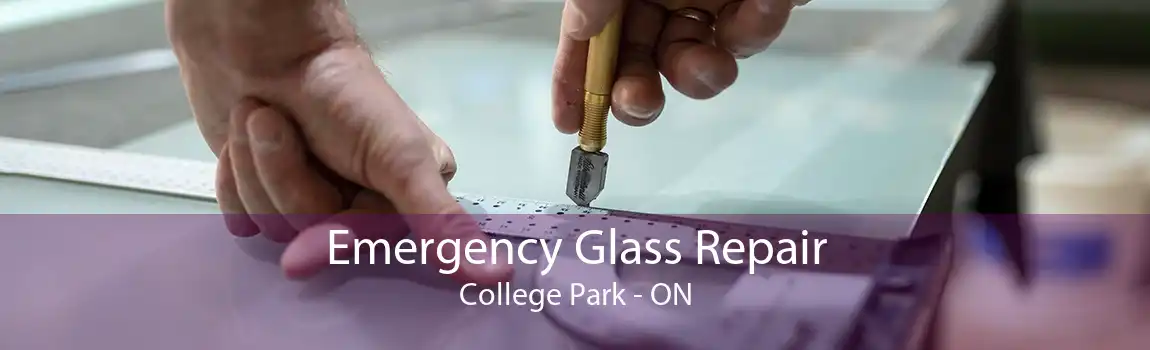 Emergency Glass Repair College Park - ON