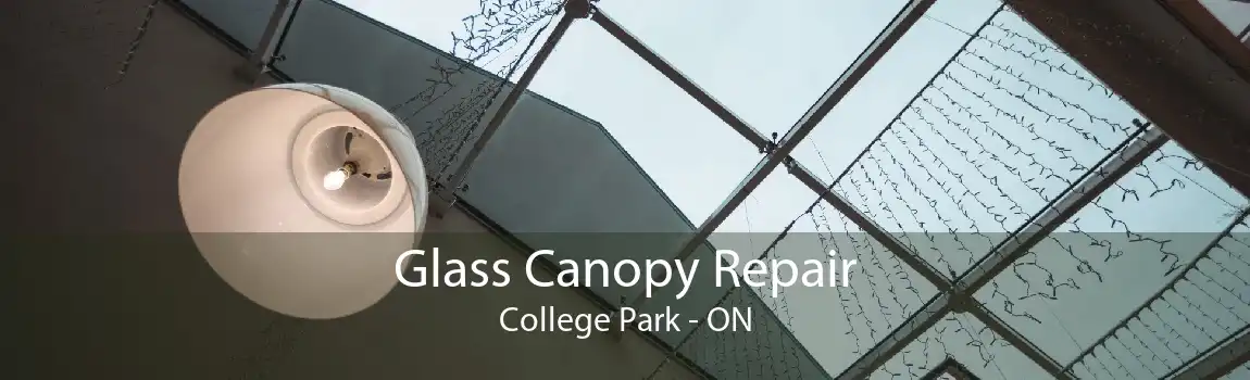 Glass Canopy Repair College Park - ON