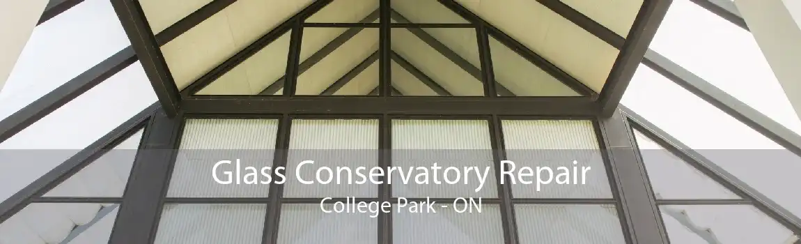Glass Conservatory Repair College Park - ON