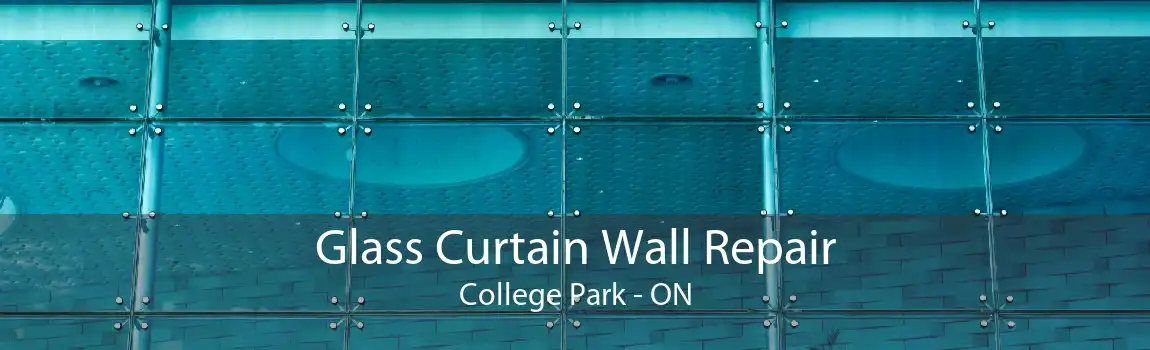 Glass Curtain Wall Repair College Park - ON
