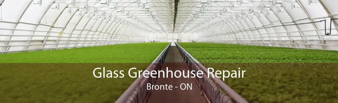 Glass Greenhouse Repair Bronte - ON