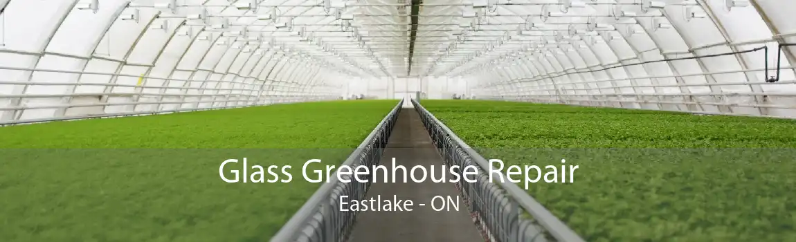 Glass Greenhouse Repair Eastlake - ON