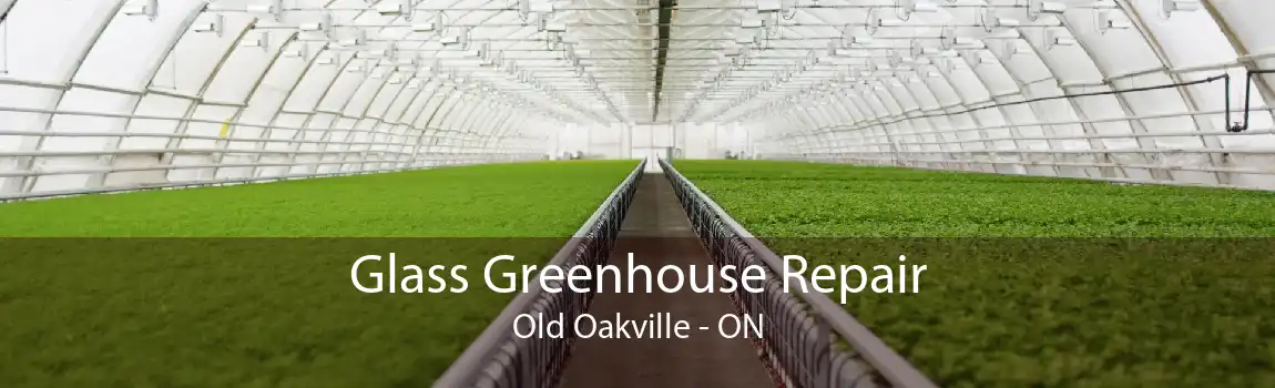 Glass Greenhouse Repair Old Oakville - ON