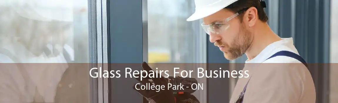 Glass Repairs For Business College Park - ON