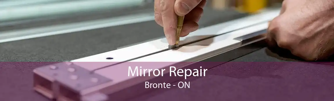 Mirror Repair Bronte - ON