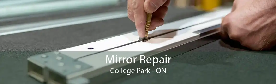 Mirror Repair College Park - ON