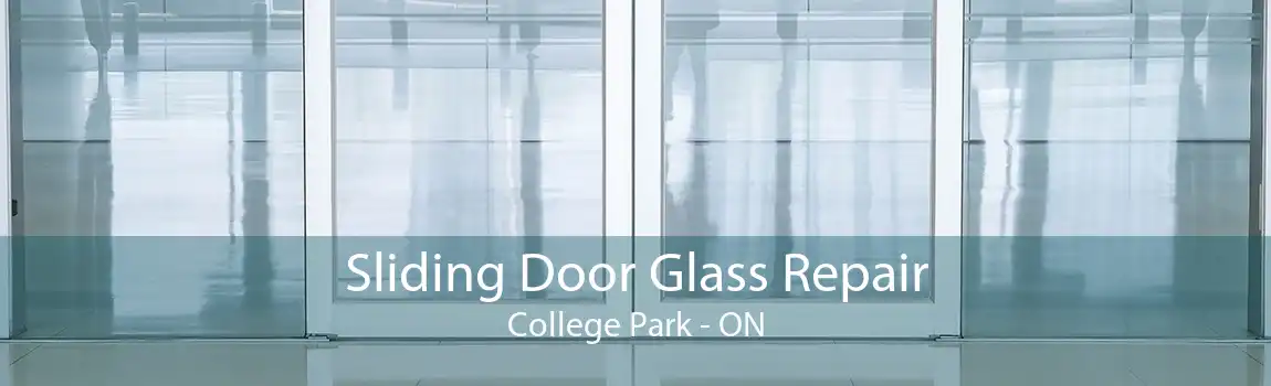 Sliding Door Glass Repair College Park - ON