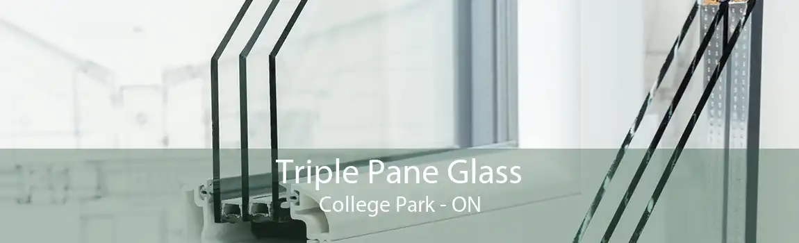 Triple Pane Glass College Park - ON