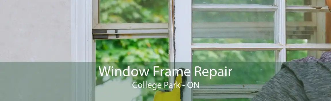 Window Frame Repair College Park - ON