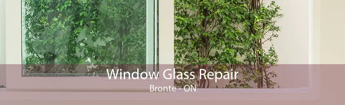 Window Glass Repair Bronte - ON