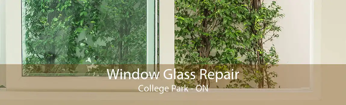 Window Glass Repair College Park - ON