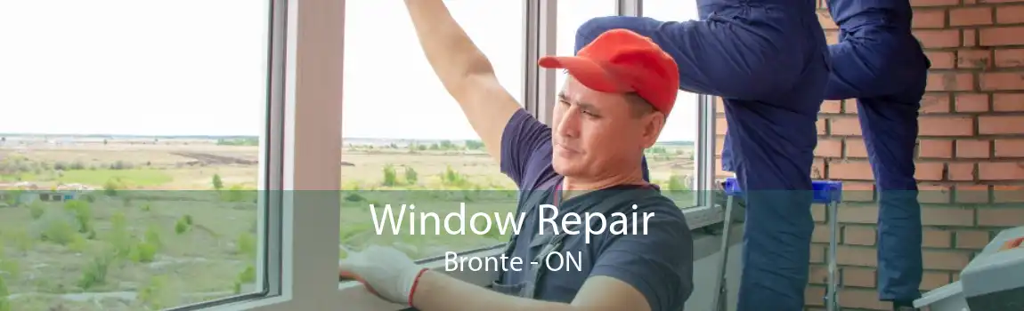 Window Repair Bronte - ON