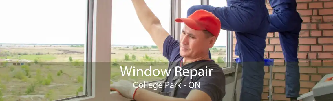 Window Repair College Park - ON