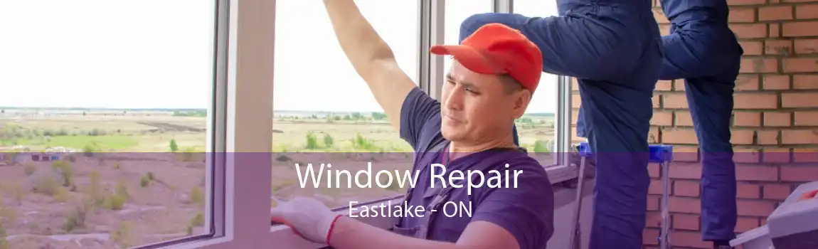 Window Repair Eastlake - ON