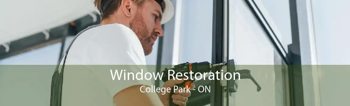 Window Restoration College Park - ON