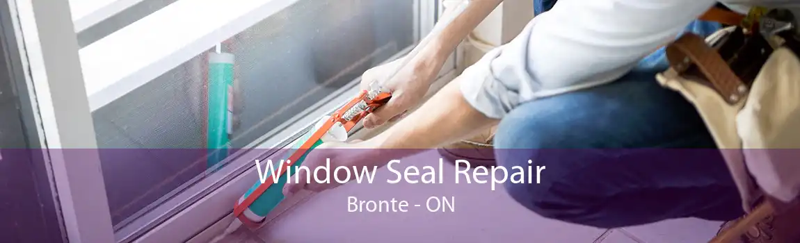 Window Seal Repair Bronte - ON