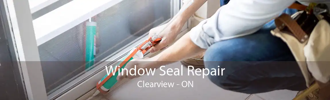 Window Seal Repair Clearview - ON