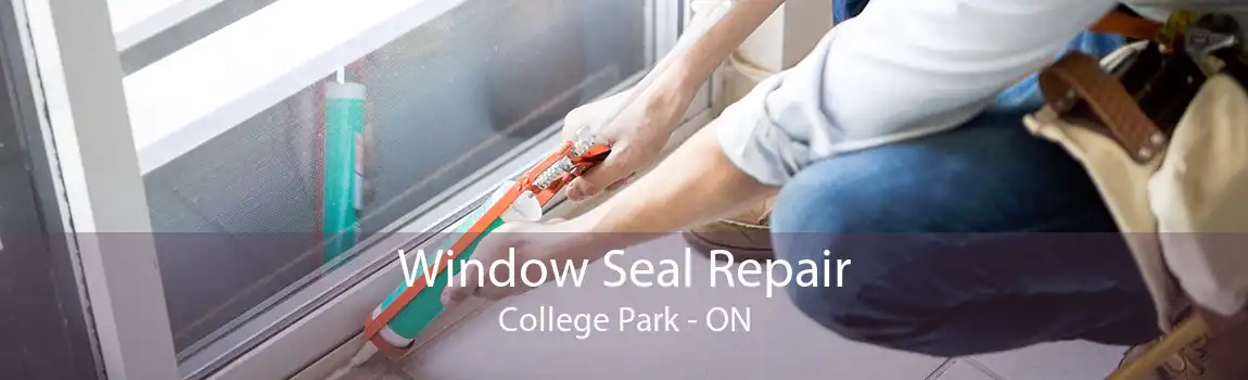 Window Seal Repair College Park - ON