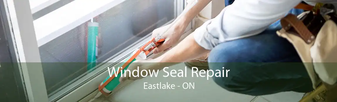 Window Seal Repair Eastlake - ON