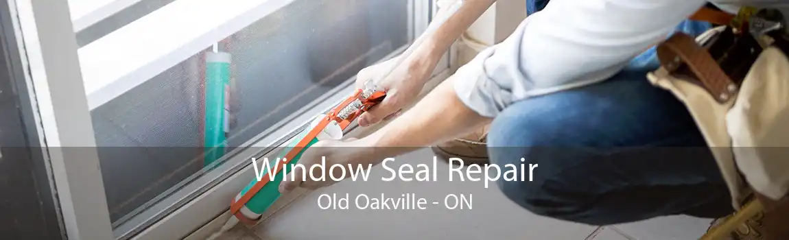 Window Seal Repair Old Oakville - ON