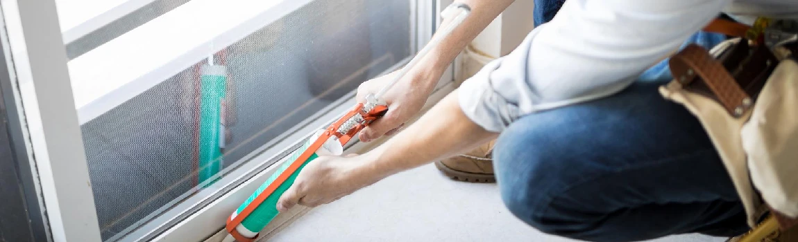 Emergency Window Replacement Services in College Park