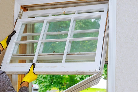 Window Replacement in Palermo